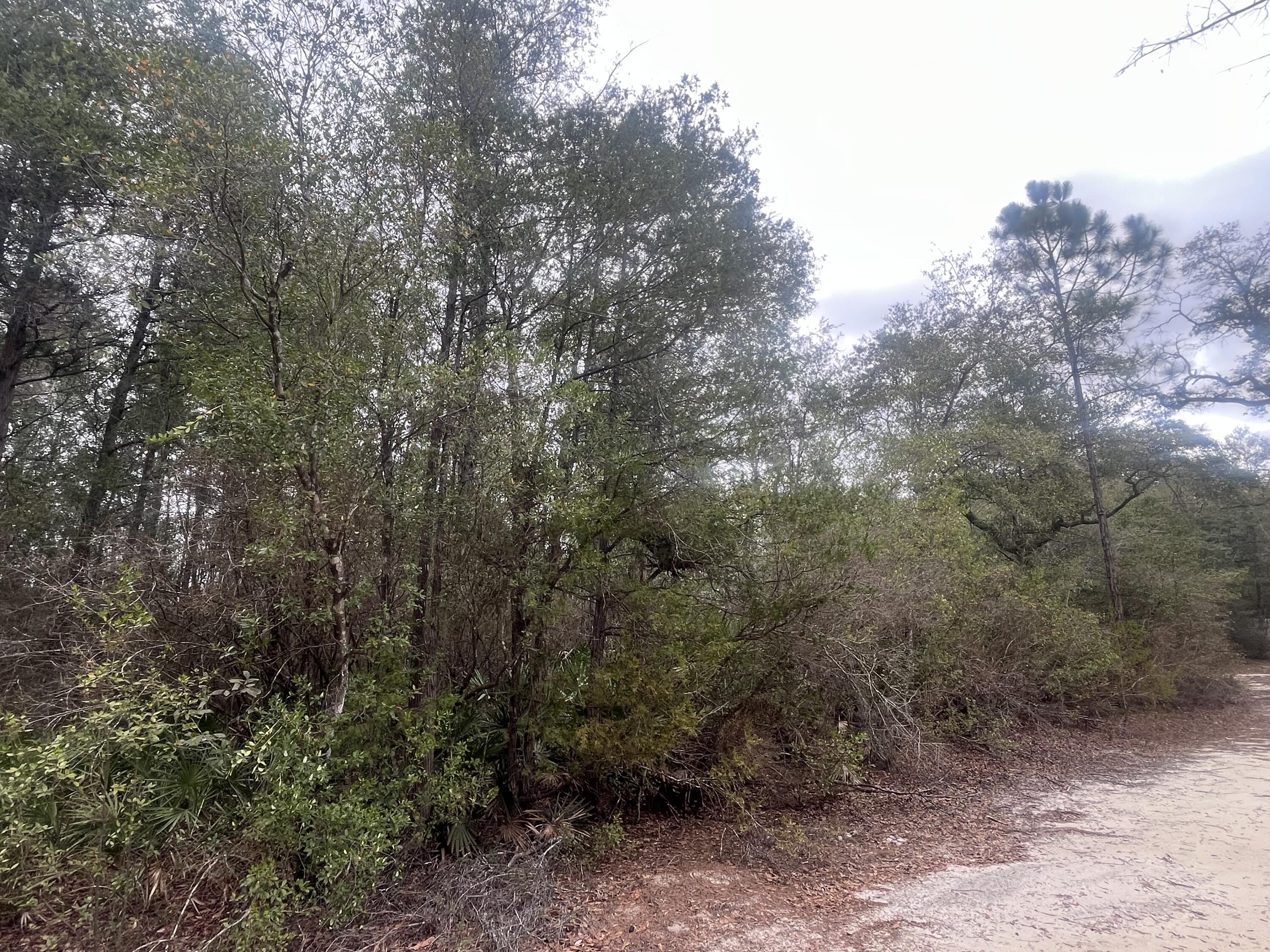 No Named Subdivision - Land