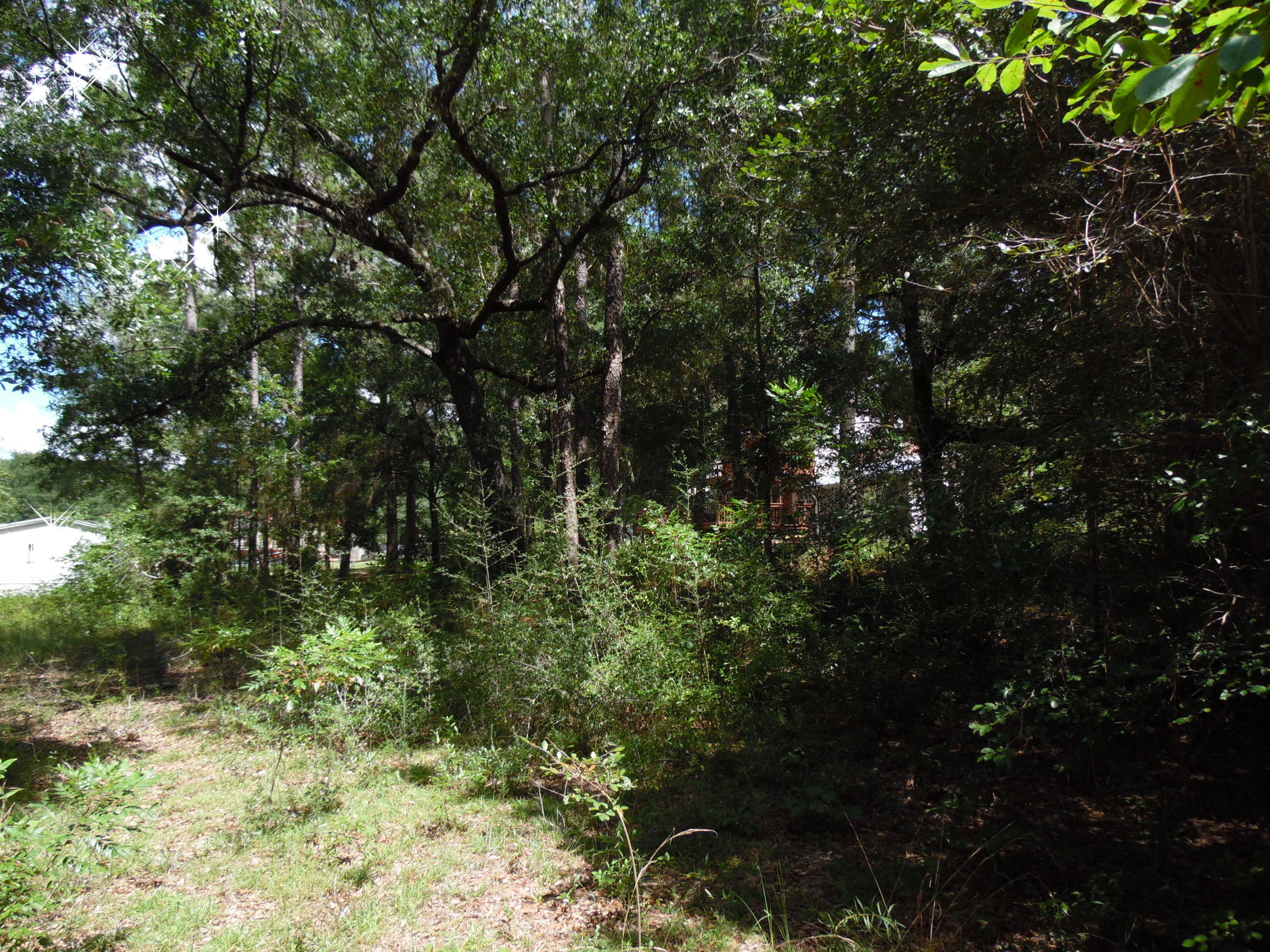 LOT 1 PIPERS LANDING S/D AND LOT 1A UNRECD Plat OF PIPERS LANDING - Land