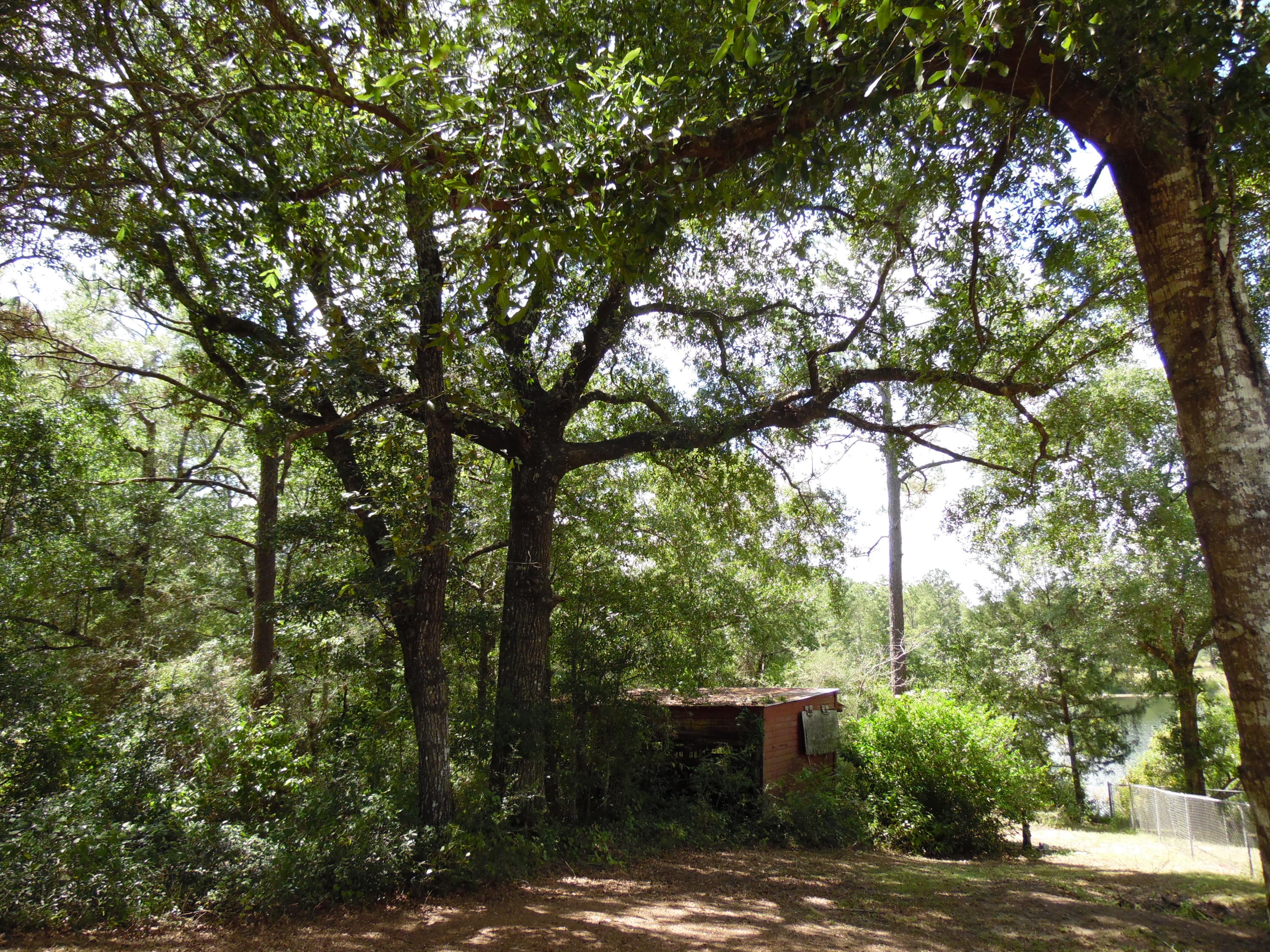 LOT 1 PIPERS LANDING S/D AND LOT 1A UNRECD Plat OF PIPERS LANDING - Land