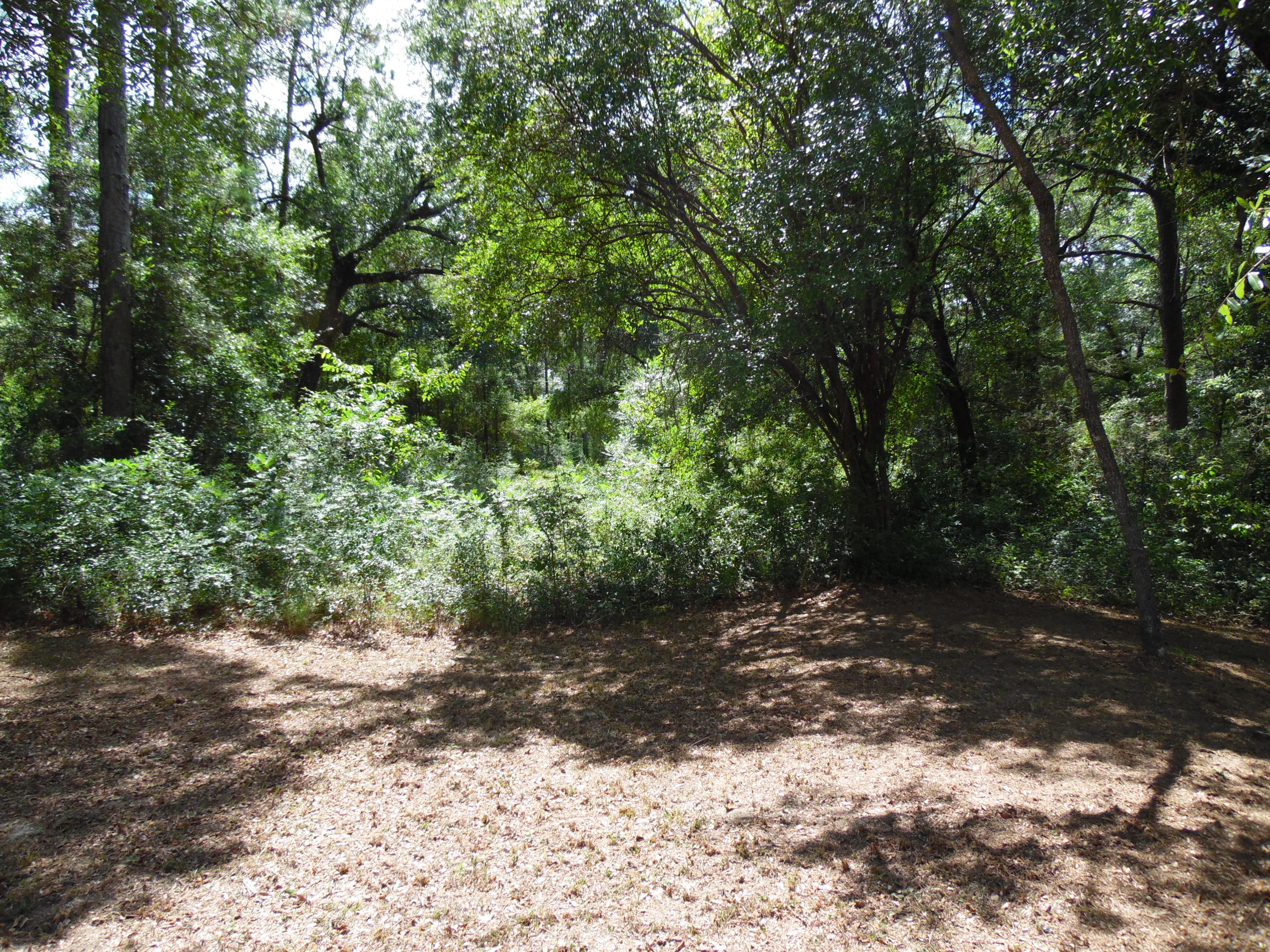 LOT 1 PIPERS LANDING S/D AND LOT 1A UNRECD Plat OF PIPERS LANDING - Land