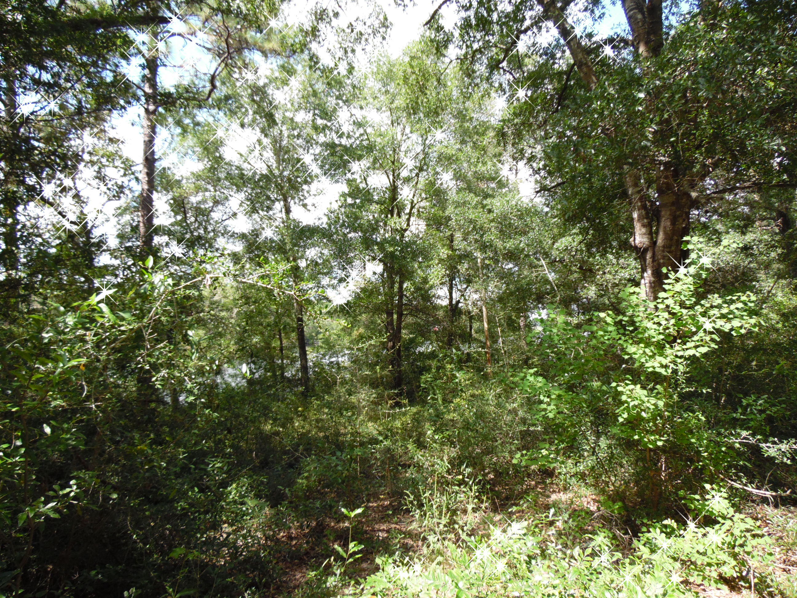 LOT 1 PIPERS LANDING S/D AND LOT 1A UNRECD Plat OF PIPERS LANDING - Land