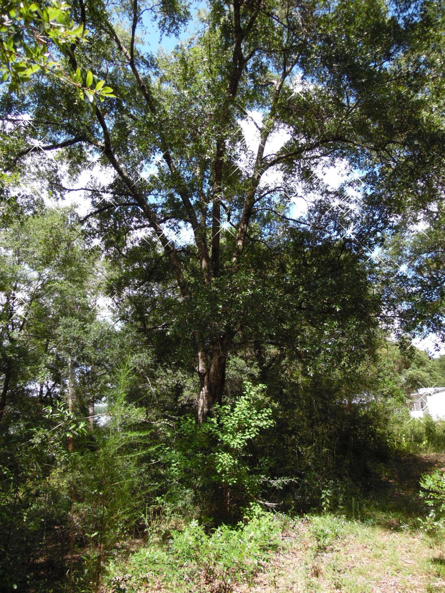 LOT 1 PIPERS LANDING S/D AND LOT 1A UNRECD Plat OF PIPERS LANDING - Land