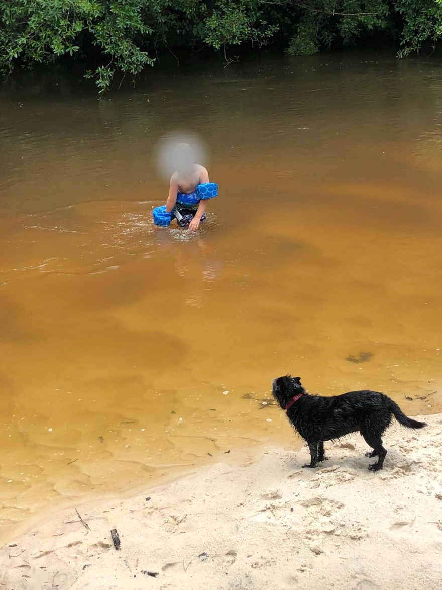 Approx. 31.2 +/- acres offering a natural setting for recreational enjoyment. This wooded parcel supports activities such as private deer hunting, fishing, trail wandering, relaxed weekend retreats, outdoor gathering spots, and rustic camping ideas for simple family use. The property includes varied terrain with sections that may contain wetlands and areas potentially within Flood Zone A. A conservation easement is recorded and shown in the documents section. Buyer to verify all information deemed important. Shown by appointment only.