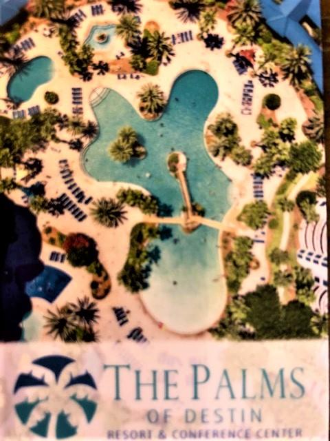 THE PALMS OF DESTIN - Residential
