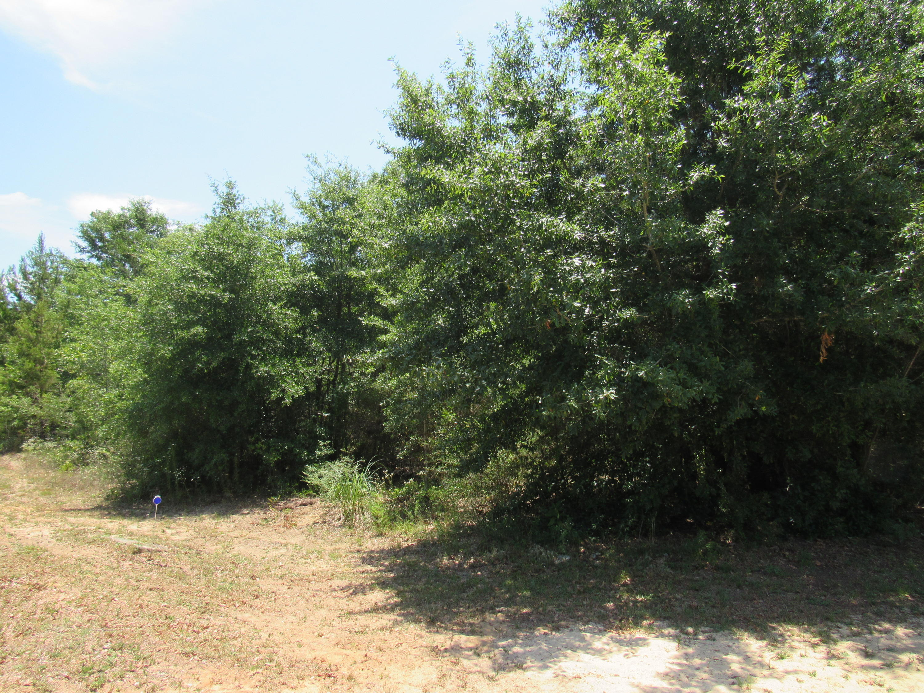 MAGNOLIA LAKE ESTATES PH 2 - Land