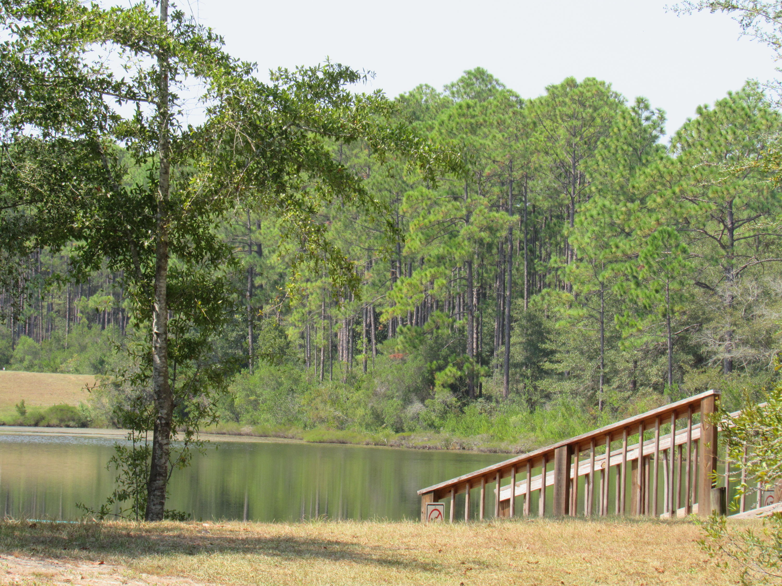 MAGNOLIA LAKE ESTATES PH 2 - Land