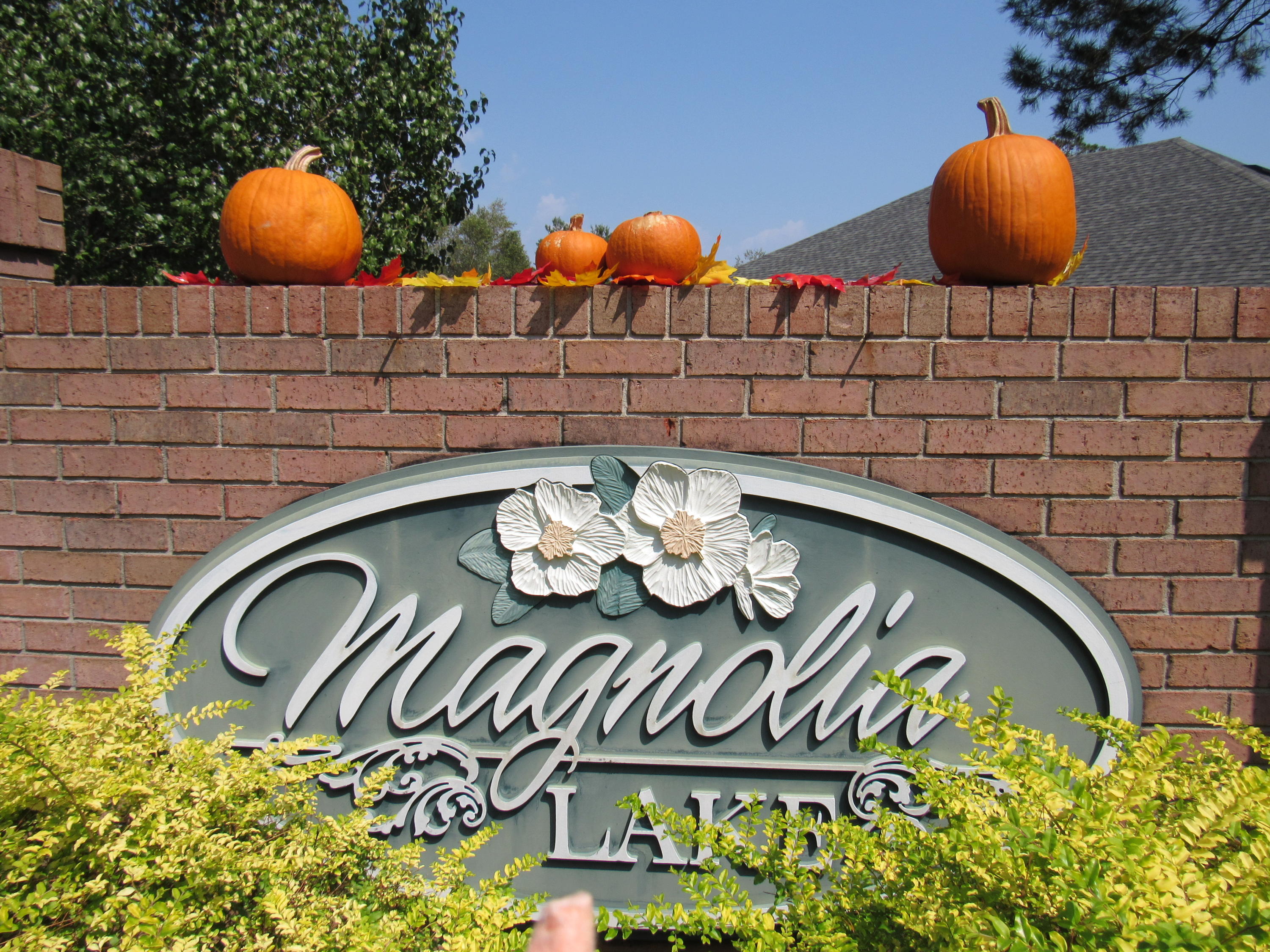 MAGNOLIA LAKE ESTATES PH 2 - Land