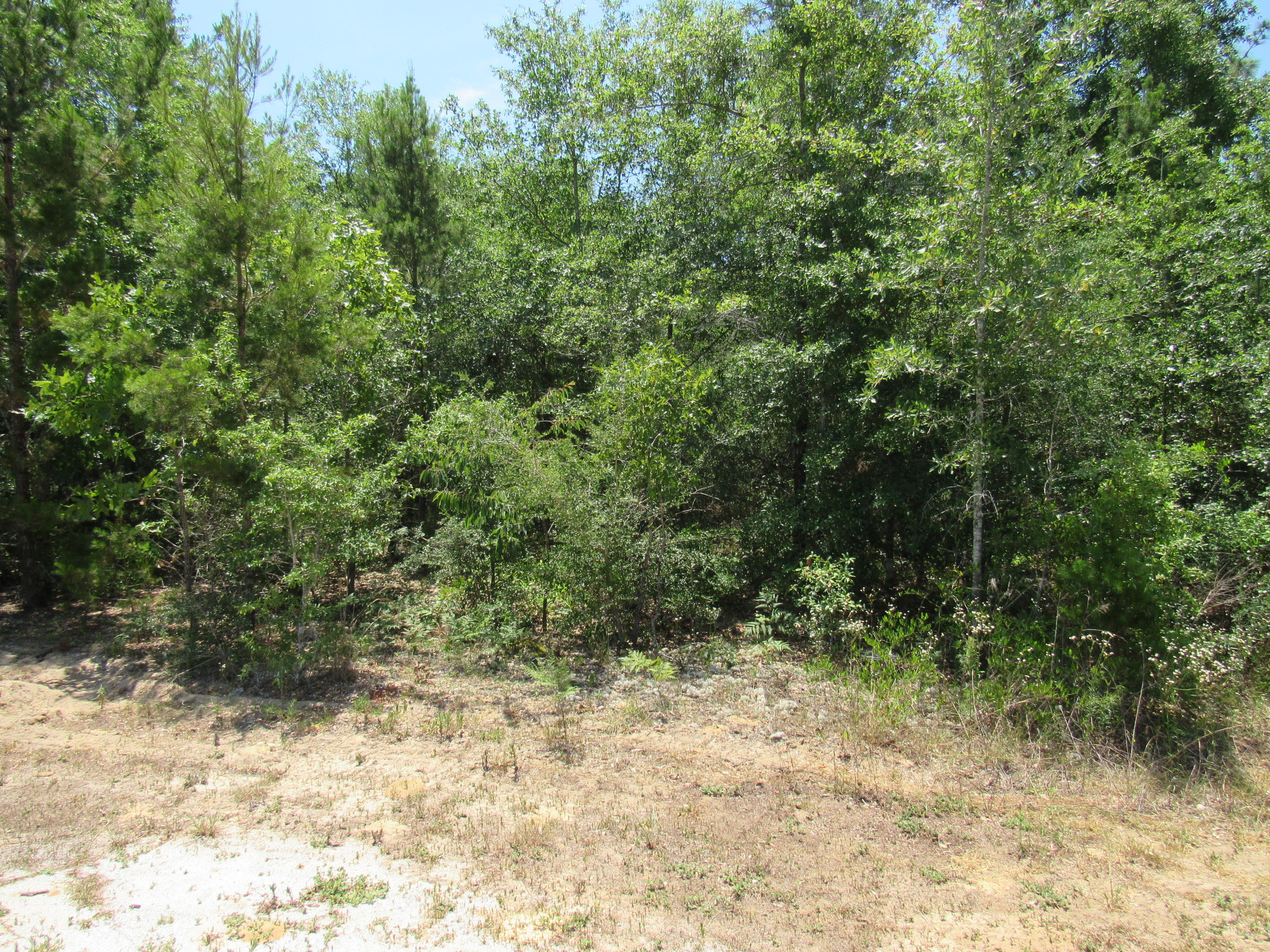 MAGNOLIA LAKE ESTATES PH 2 - Land