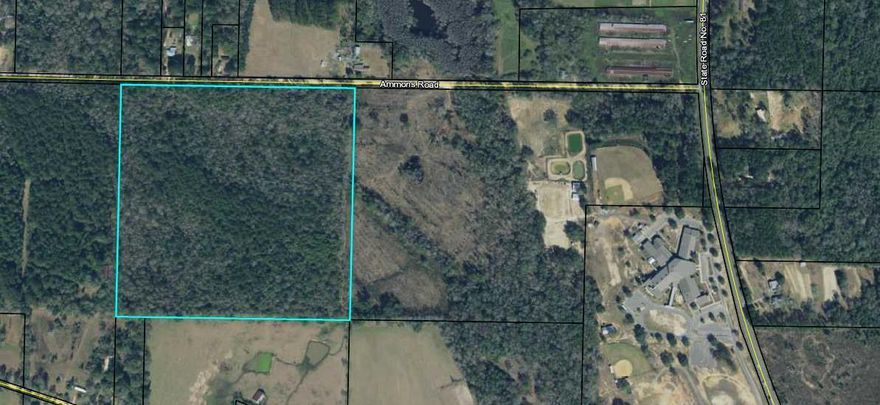 This wooded 40 acres tract would make a good site for home or mobile home. Parcel has no improvements. Will require septic and well. Pines on property are about 20 years old or more. This parcel is in Ponce de Leon school district.