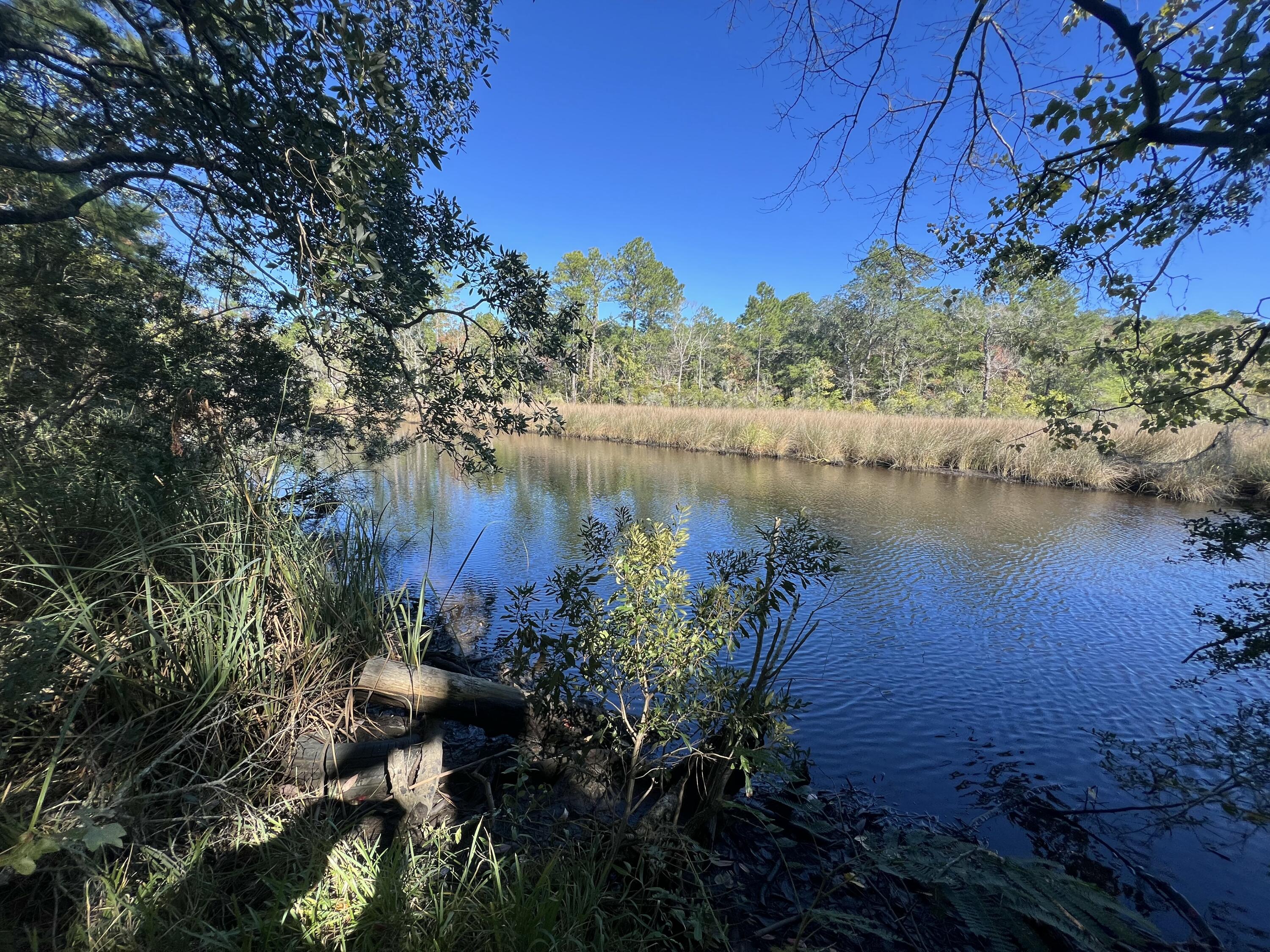 Great opportunity to own a pristine waterfront parcel with direct access to the bay and intercostal waterway. This property offers a natural feel with plenty of space to build your dream home. Enjoy fishing, boating, and other water activities right at your doorstep. Located in a peaceful, serene area yet conveniently close to local amenities or attractions.