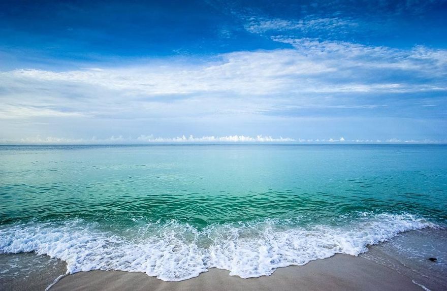 Large Gulf View Lot now available in Elysee Court, one of the last remaining developments gulf-side between Alys and Rosemary Beach. Elysee Court provides a lush private gated premier location onScenic Hwy 30A. This opportunity is great for the astute investor. Live your dream on the Gulf Coast in this highly sought after location. Survey Provided in documents.