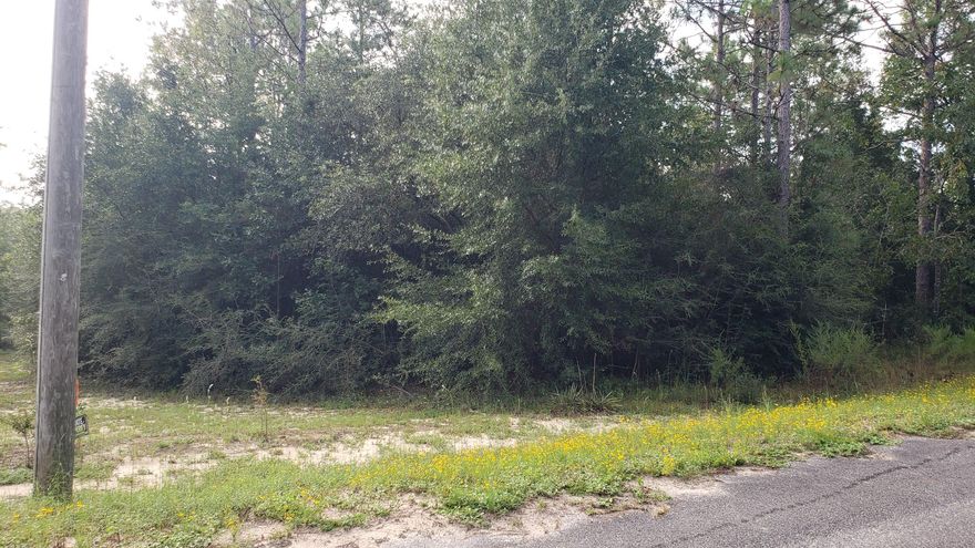 2.34 Acres~  Public Water and Electric are Available but tap fees need to be paid. No mobile/modular Homes ~ Homes must be at least 1000 sq ft living space.    *Listing Broker/Salesperson has ownership interest in the property