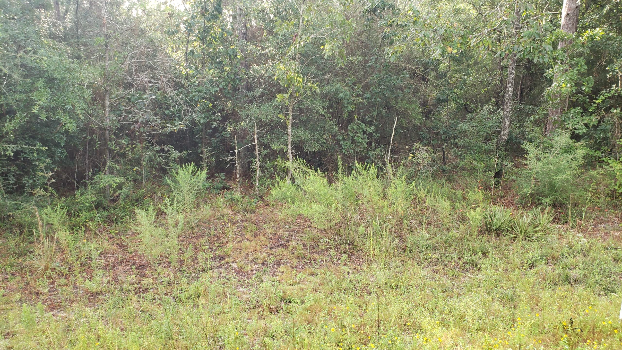 CLEAR CREEK FARMS 1ST ADDN - Land