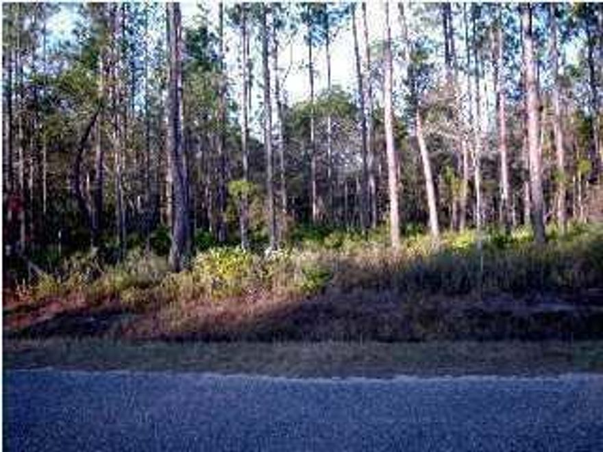 JUST UNDER 1/2 ACRE - BUYER TO VERIFY - OF WOODED DRY LAND TO BUILD YOUR PRIVATE RETREAT IN A COVENANT-PROTECTED SUBDIVISION. NO MOBILE OR MANUFACTURED HOMES ALLOWED, 1,000 SQ. FT. MINIMUM HOME SIZE. NEW HOMES AND EXISTING HOMES ARE WELL MAINTAINED AND ON A PAVED STREET WITH PUBLIC WATER. WALK TO MALLET BAYOU. WOODED TO ASSURE YOUR PRIVACY - NATIVE HARDWOODS AND VEGETATION. 12 MINUTE DRIVE TO SOUTH WALTON'S BEACHES WITHOUT THE CONGESTION. BUILDABLE LOTS IN A CONVENIENT GROWING AREA