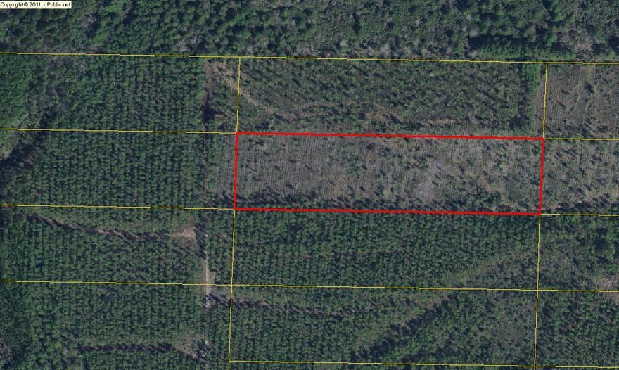 Motivated Seller! Great, hard to find 10 acre tract just East of Freeport! This lot is priced to SELL! Nature is your neighbor and privacy is in store for the buyer of this lot.Property has been cleared and is ready for you to build! Manufactured homes are also allowed here! You would need to put in a well for water and electricity is in the area. Call for your tour today!