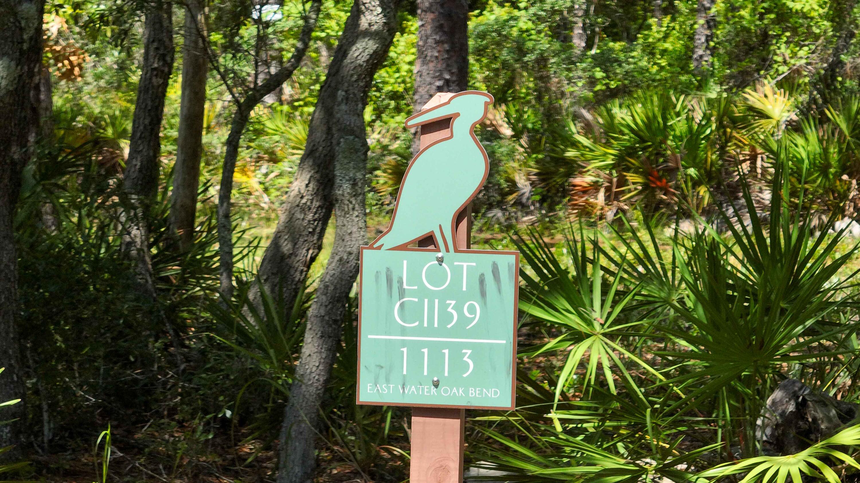 WILD HERON - Land