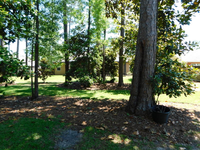 BAYSHORE PLACE PH 8 - Residential