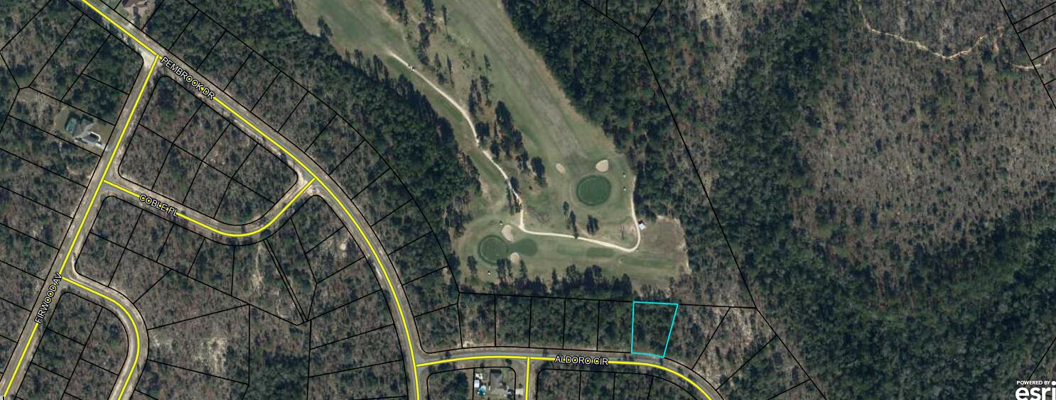 Love Golf? Dream of having a home built near the clubhouse and golf course without paying high HOA fees? This .392 acre lot is perfect for you. Conveniently located in front of the clubhouse entrance on Pembrook. Other than the clubhouse and beautiful Green Golf turf, Sunny Hills offers numerous lakes with white sandy beaches and clear water throughout for recreational activities such as swimming, boating, and fishing, but also provides a short drive, approximately 45 minutes to Panama City beaches when you want to visit a different slice of heaven. Northwest Florida Beaches International Airport, and Pier Park shopping are approximately 45 minutes. Approx. 20 miles from local shopping, medical, and other local amenities in Chipley. LOT IS DIRECTLY ON THE GREEN
