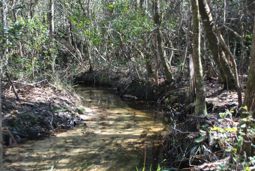 Don't miss an opportunity to own nearly 2 acres of property with a creek! There is a septic and power pole in place as well. Measurements approximate. Buyer to verify any information deemed important. Call for a showing today!