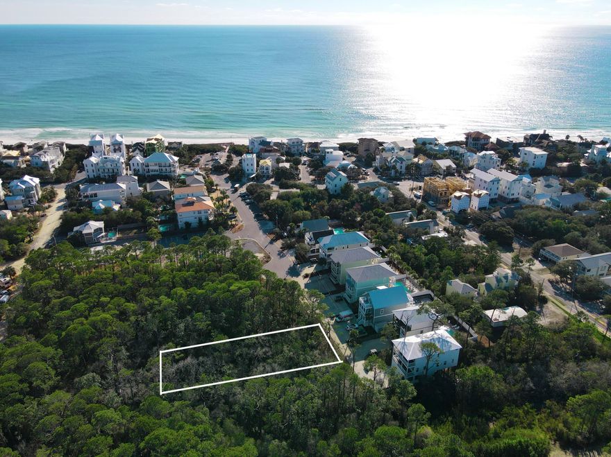 Building opportunity in a prime Seagrove location. This lot is located approximately 620 feet north of the Bramble Grove public beach access offering convenience to those constructing a vacation rental or primary/second home. Lot is in the wetlands but the heavy lifting of DEP permitting has already been taken care of and mitigation credits have been acquired with an impact footprint of 50'x106' for the site.