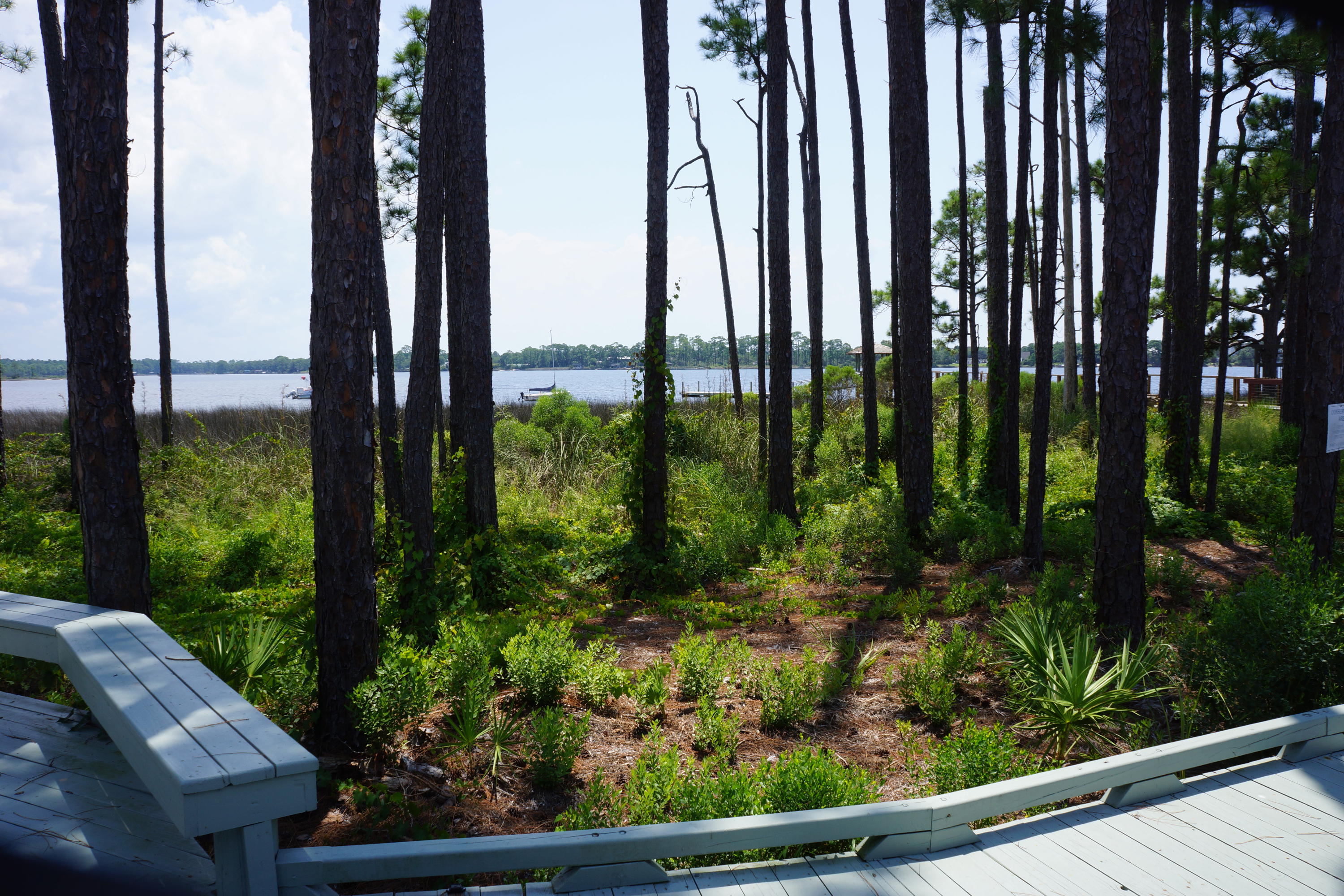 WILD HERON PHASE VIII - Residential