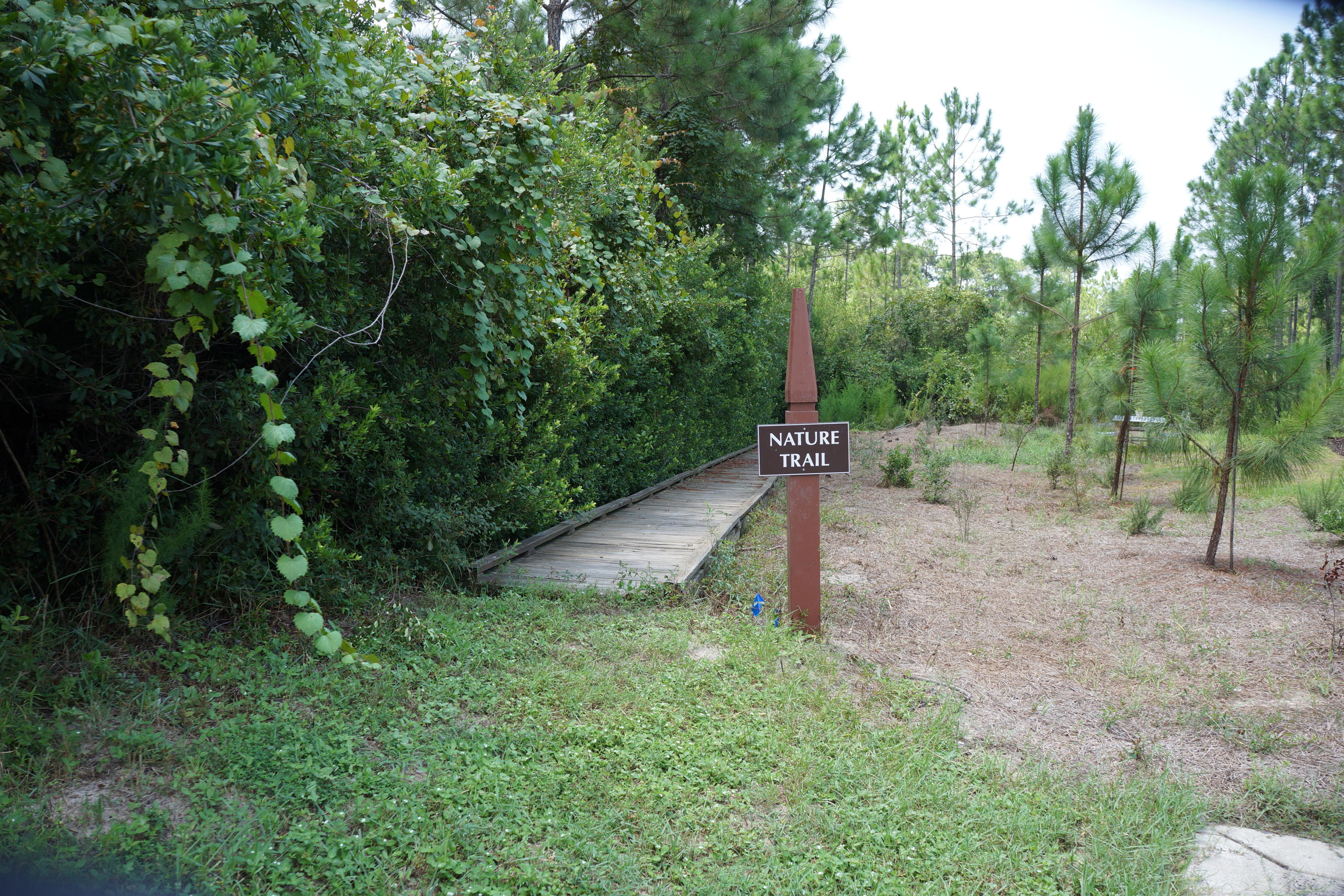 WILD HERON PHASE VIII - Residential