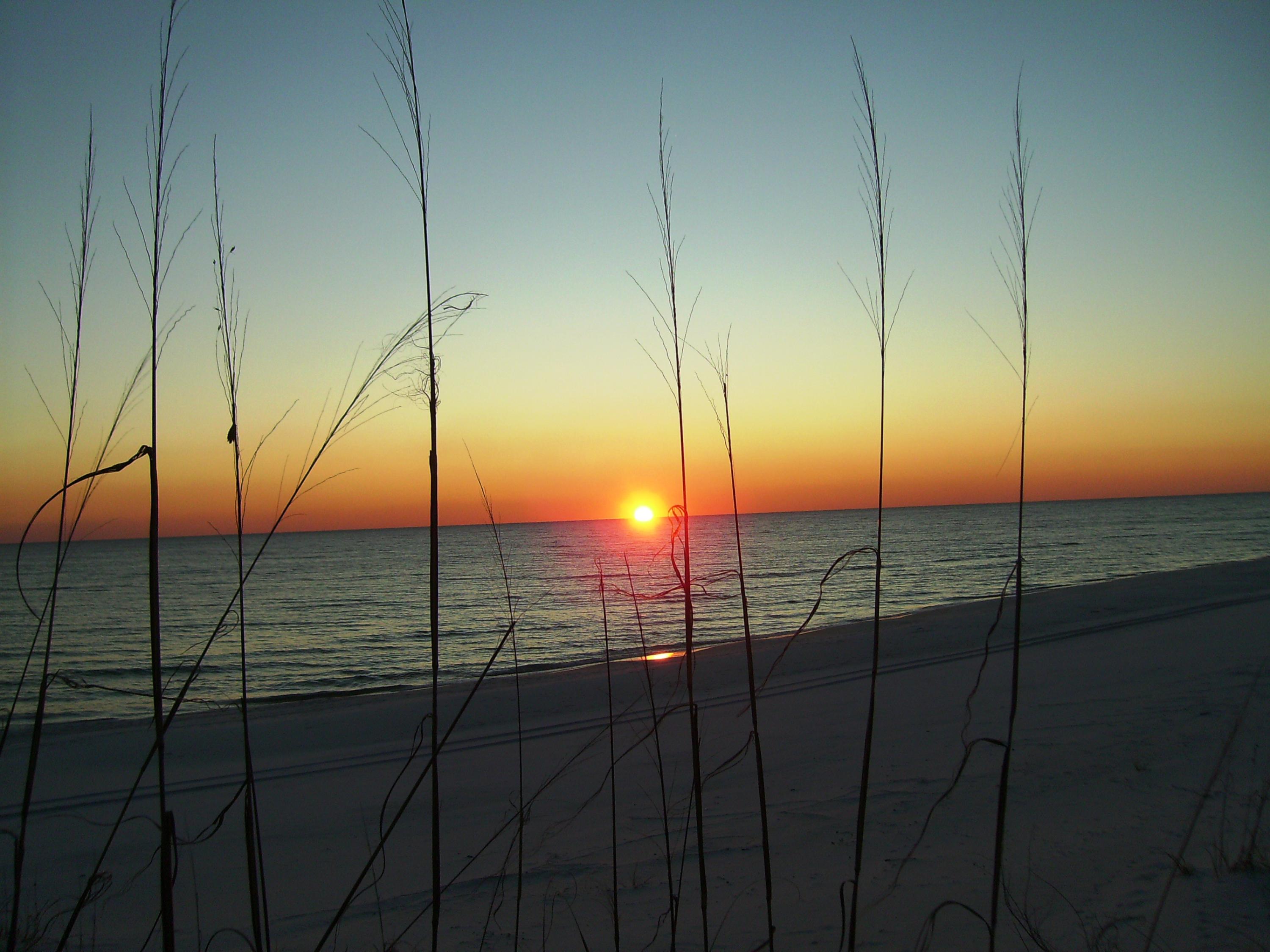 GRAND CARIBBEAN EAST CONDO - Residential