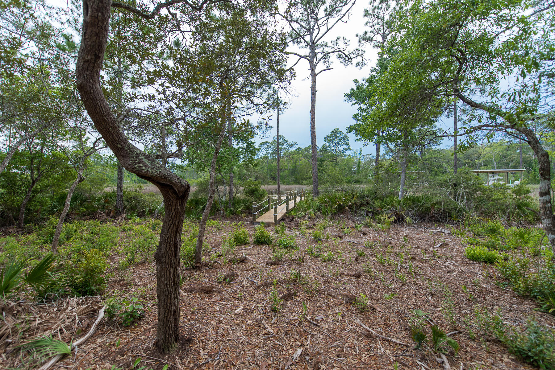 EDEN ESTATES S/D - Land