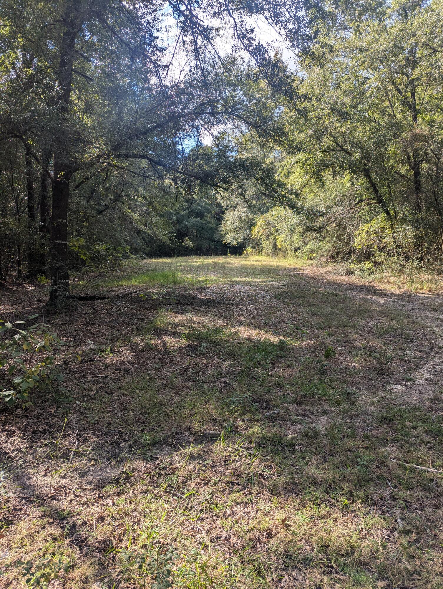 METES & BOUNDS - Land