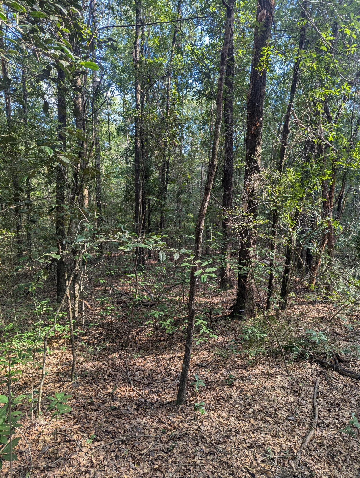 METES & BOUNDS - Land