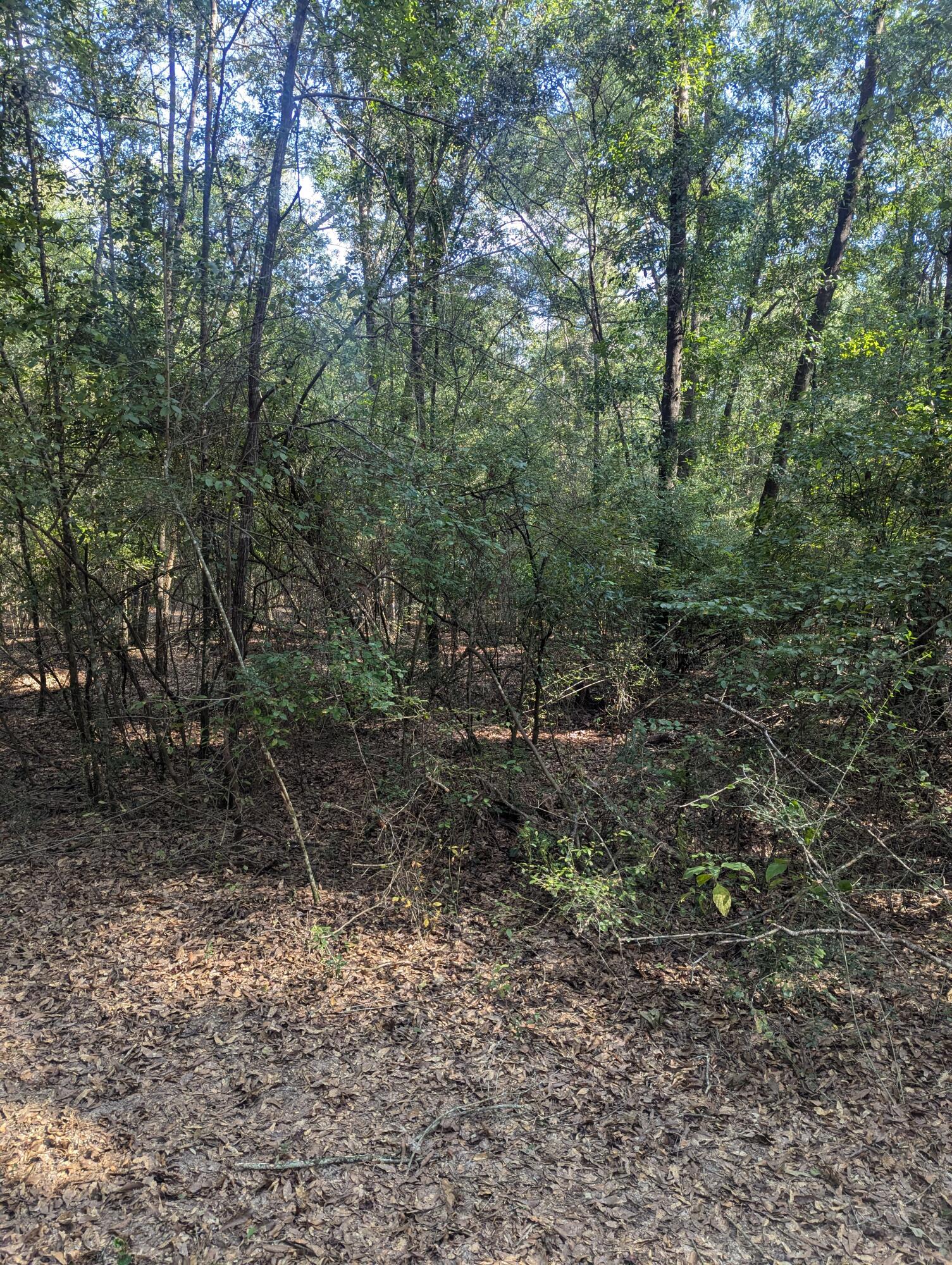 METES & BOUNDS - Land