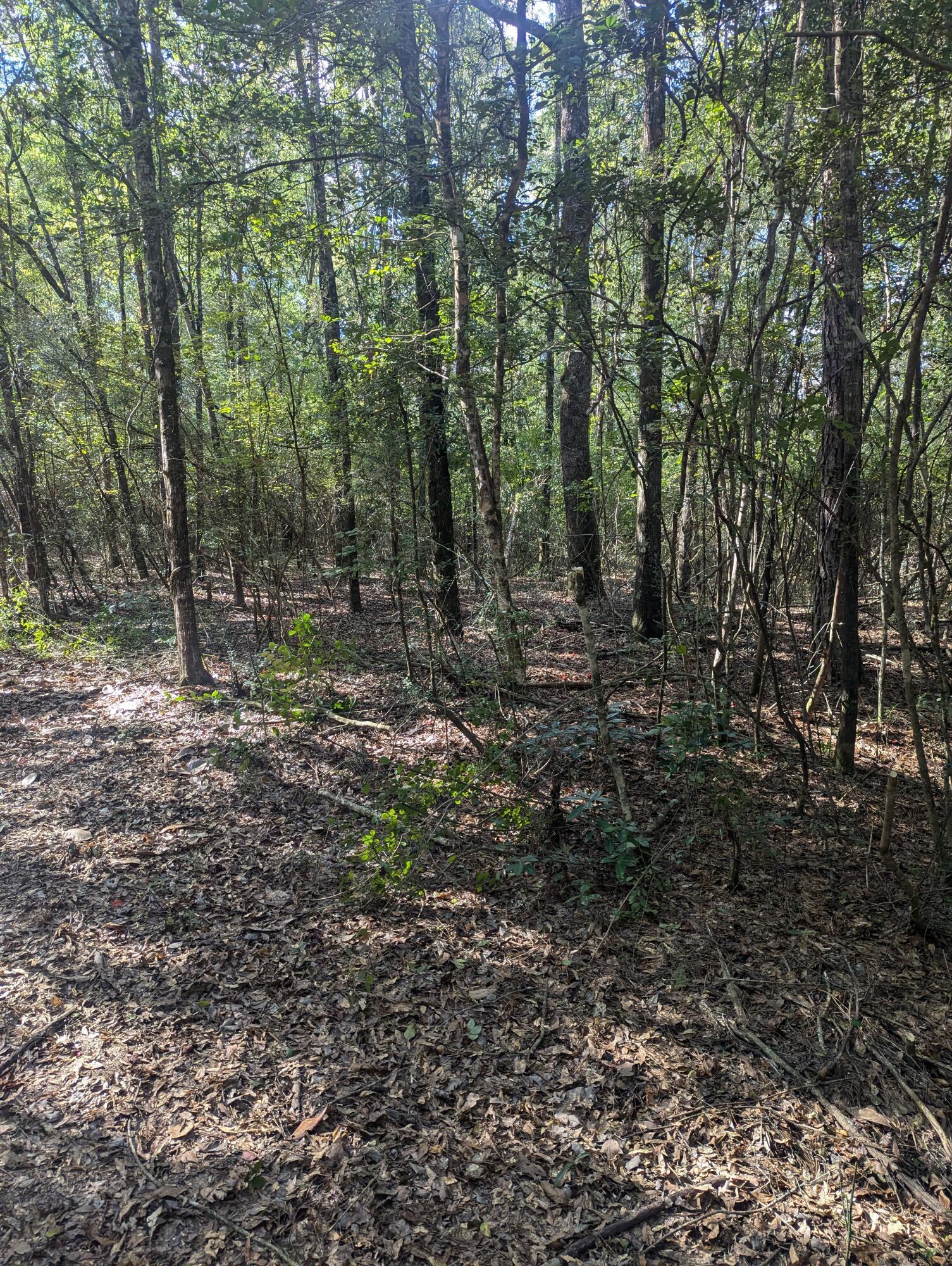 METES & BOUNDS - Land