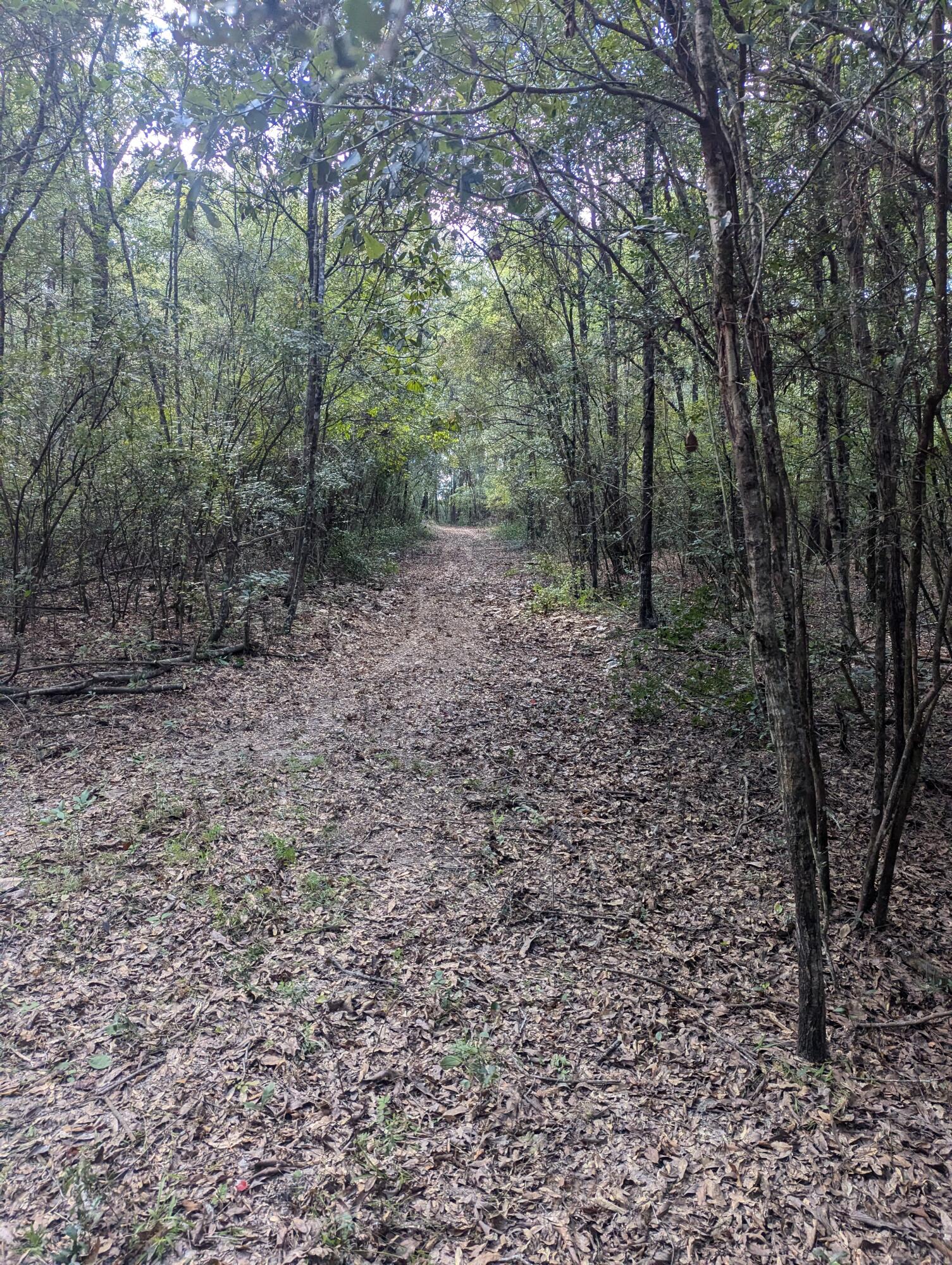 METES & BOUNDS - Land