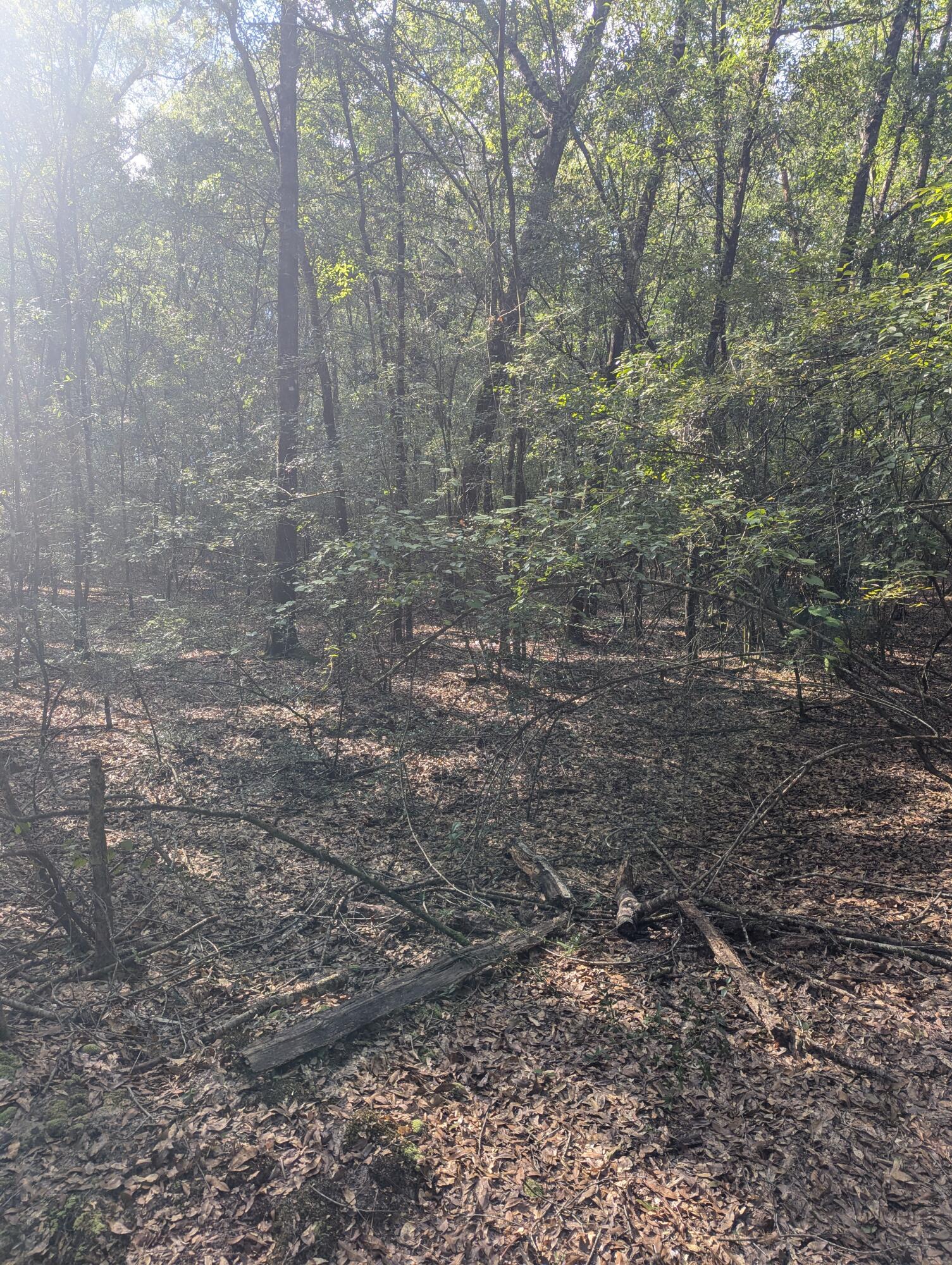 METES & BOUNDS - Land