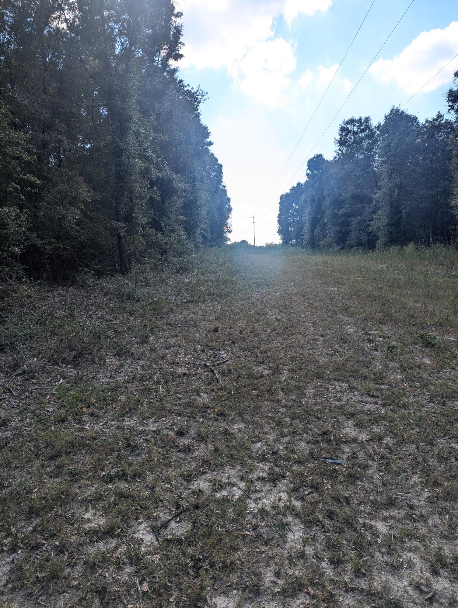 METES & BOUNDS - Land