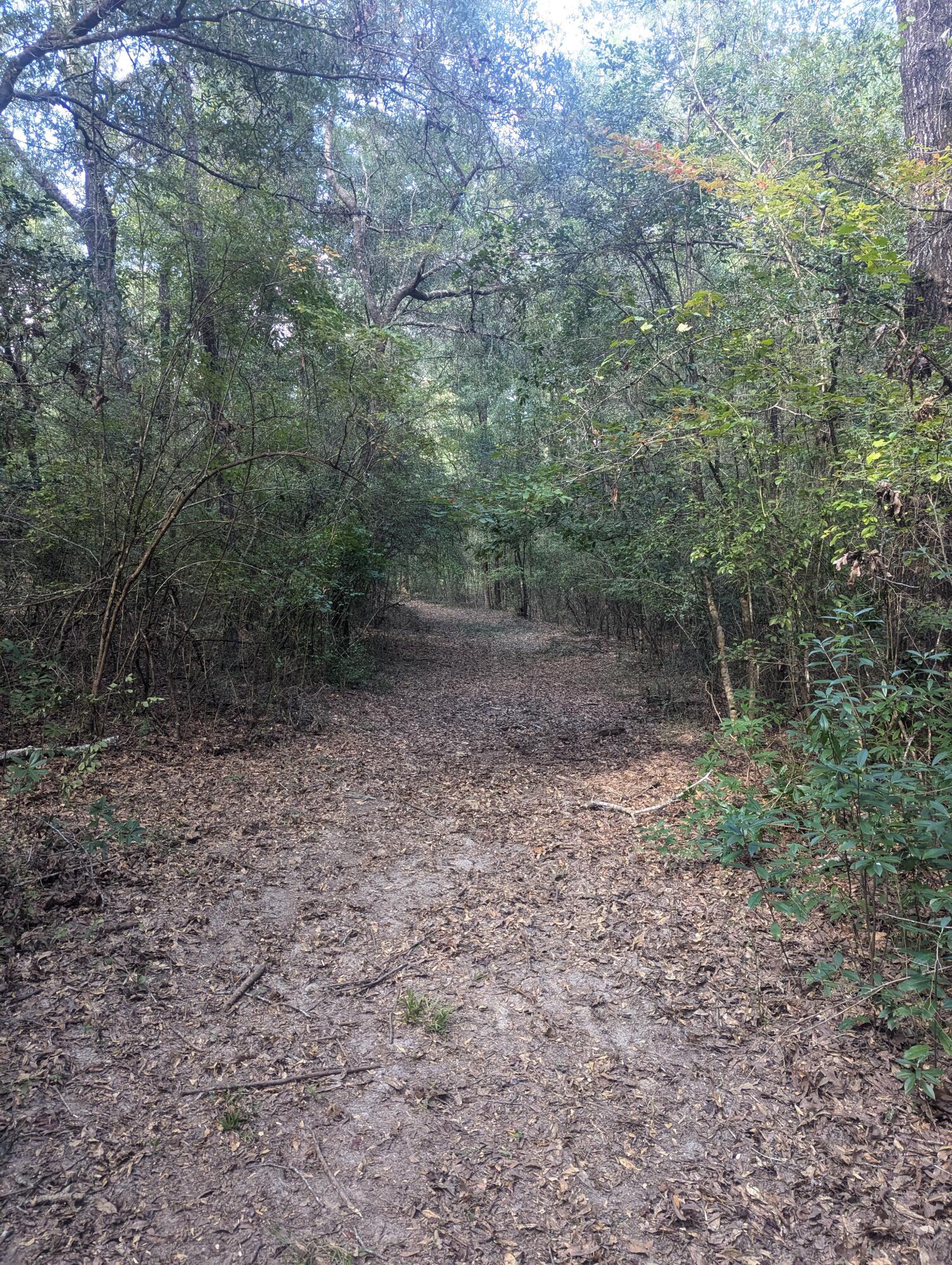 METES & BOUNDS - Land