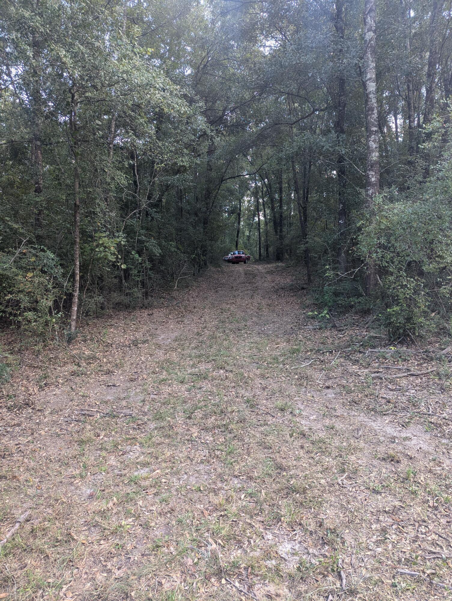 METES & BOUNDS - Land