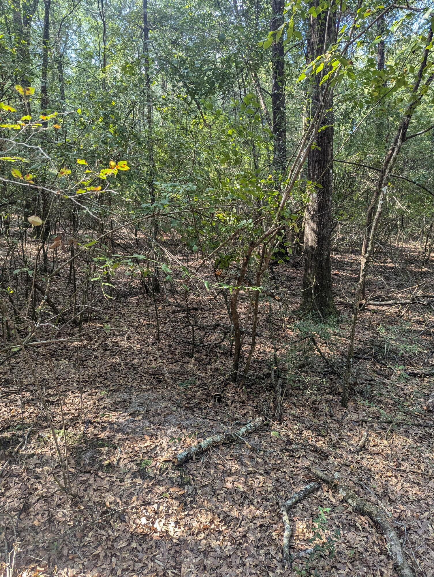 METES & BOUNDS - Land