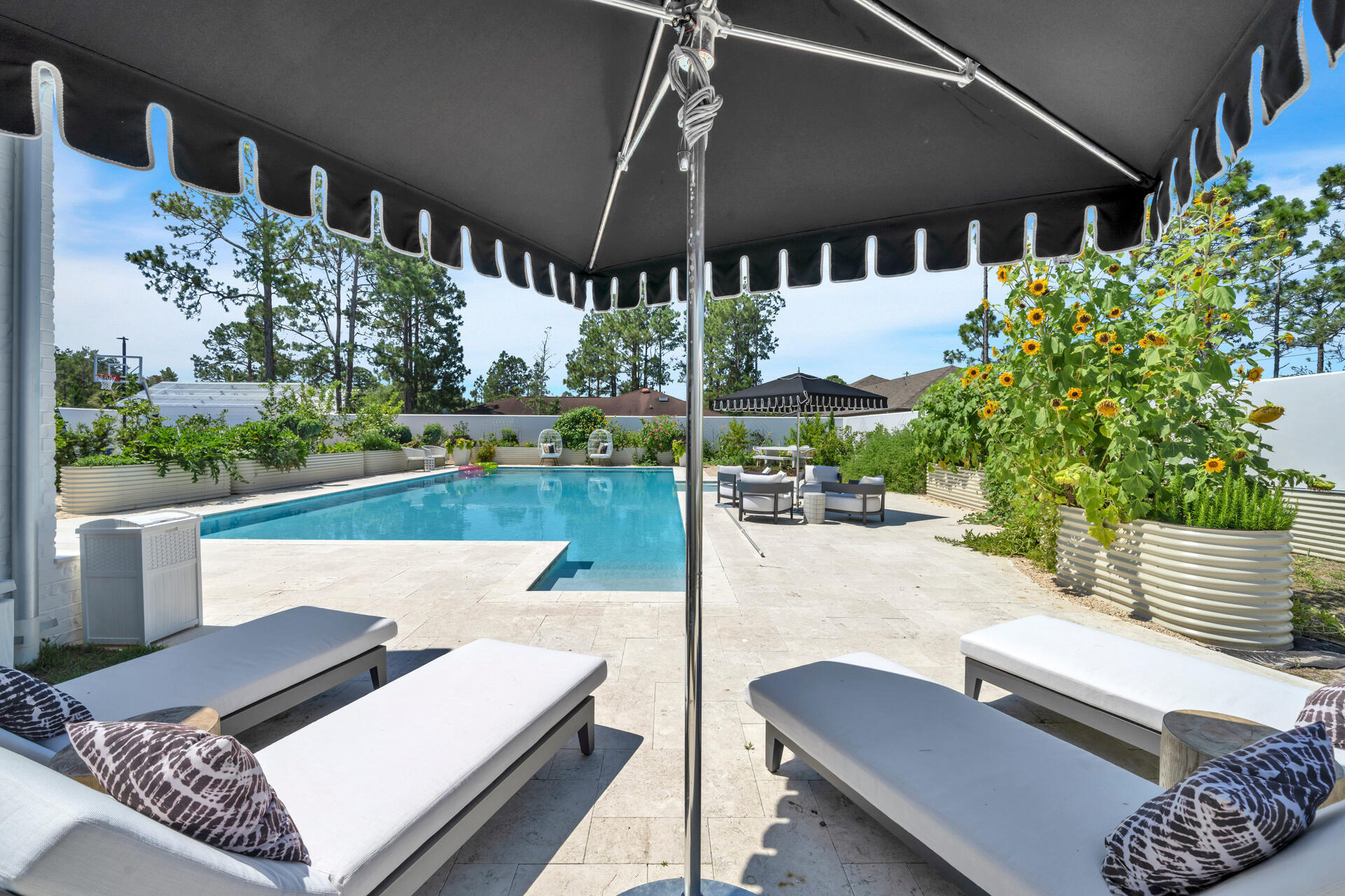 Pines of Blue Mountain - Residential