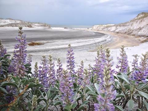 MAGNOLIA BEACH 1ST ADDN - Residential