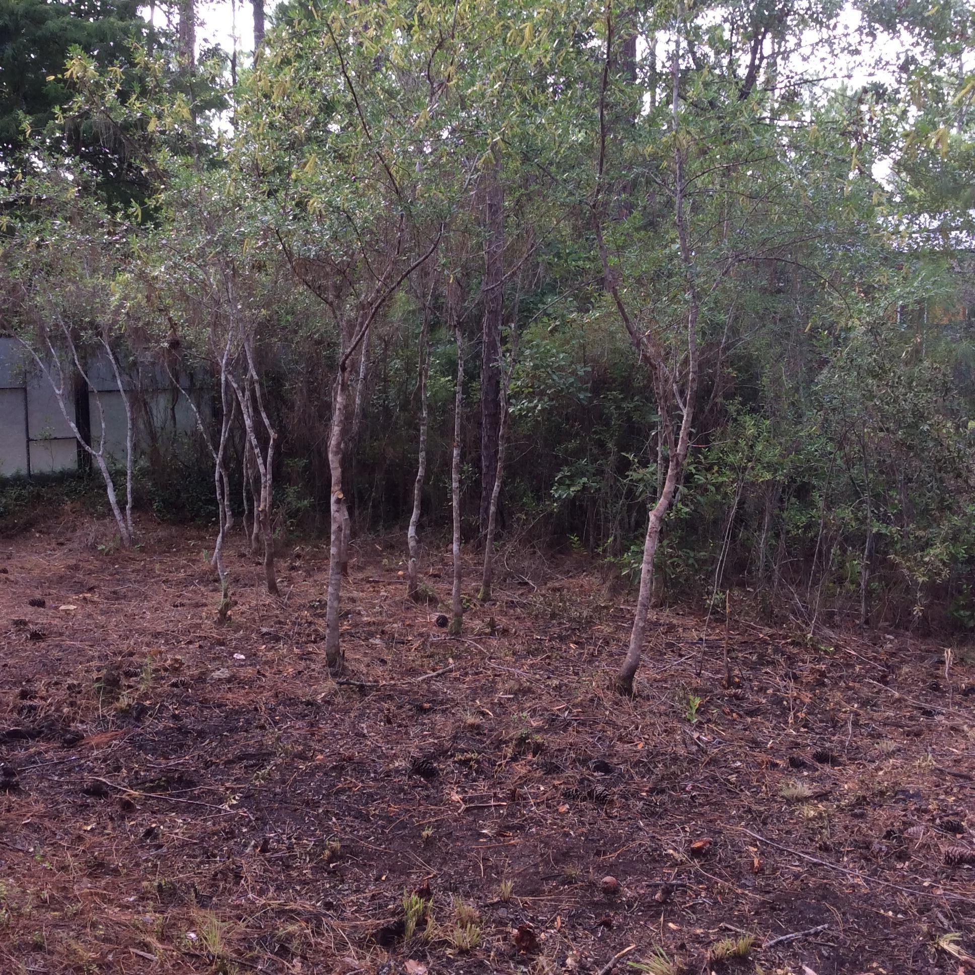 MAGNOLIA BEACH 1ST ADDN - Residential