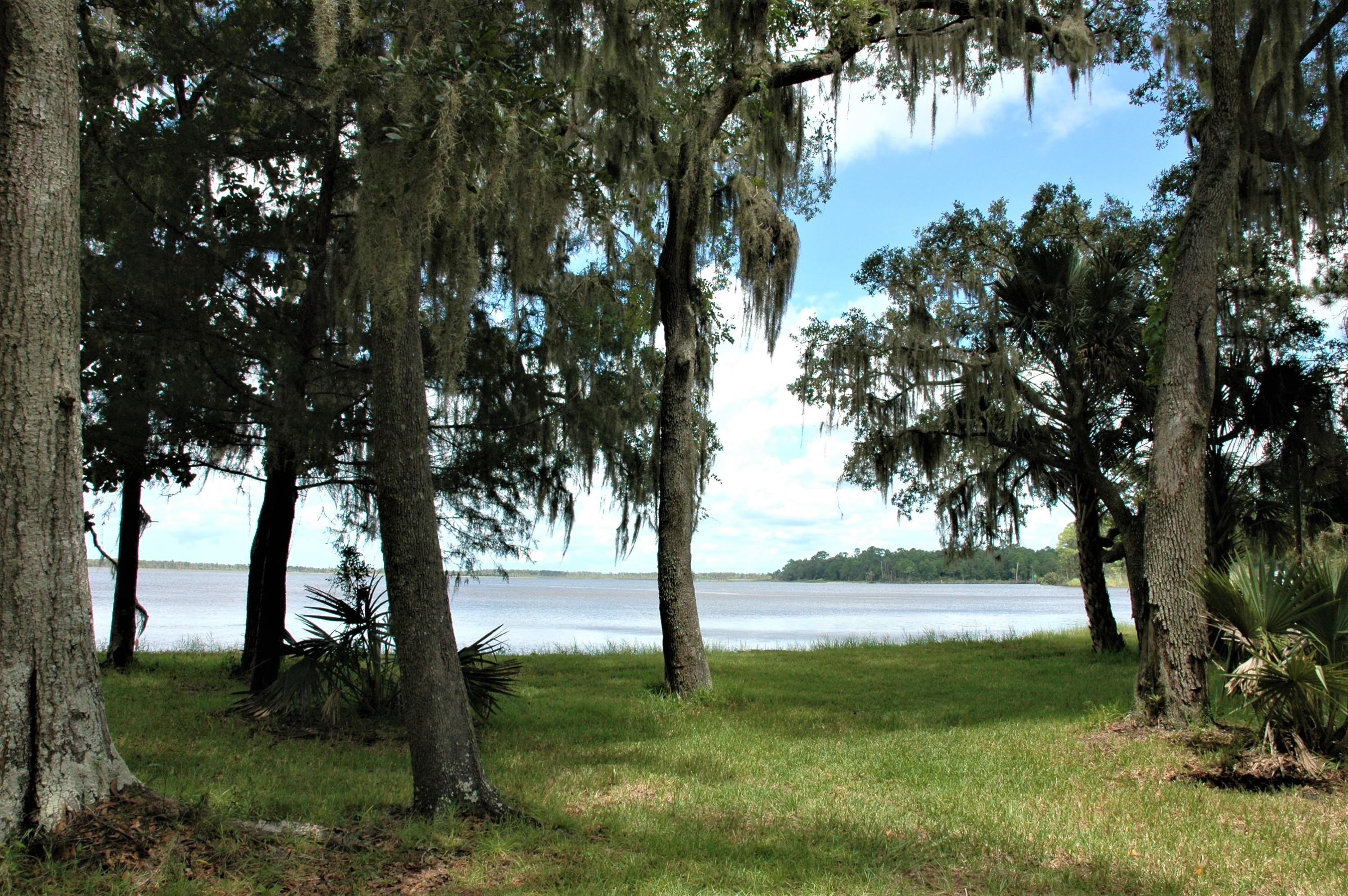 The Shallows - Residential