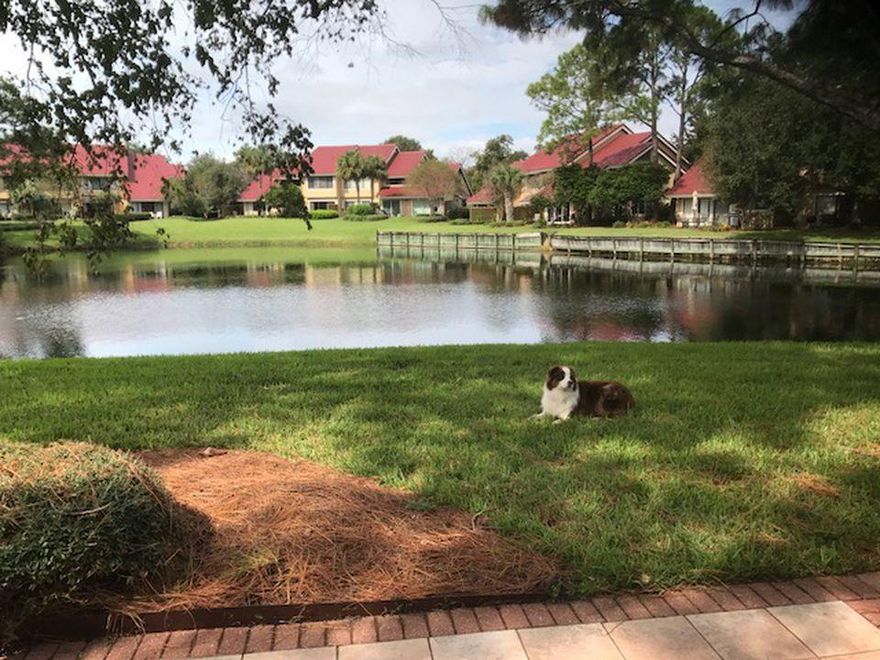 Fully remodeled beach villa with 2 spacious bedrooms with full baths and a large loft which accommodates 2 twin beds. Highly sought after end unit with extended patio and large lawn area. All new mechanicals and appliances in last 5 years - meticulous condition. Only rented once in 30 years of family ownership. Best views of lake and surrounding community. Recently updated with with new Craftsman doors and millwork. Sold fully furnished - all furniture bought new 4 years ago. Will not find a nicer unit in Beachwalk. Also has advantage of having 1 of the 2 large bedrooms (plus full bath) on main level for those desiring single level living!