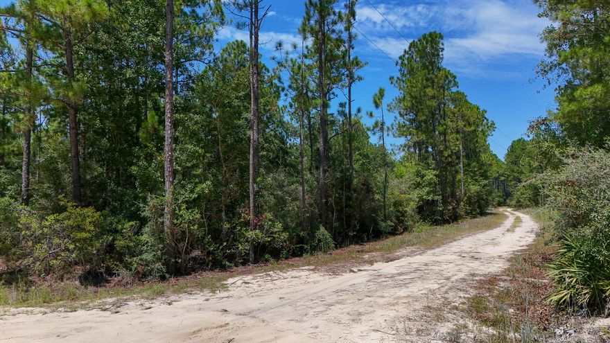 This 5-acre tract on Joe Dugger Road in Freeport, Florida offers the perfect opportunity to create your own private retreat or homestead. Tucked away in a peaceful setting, the property is partially cleared, making it easier to envision where a future home, workshop, or recreational space could be placed while still maintaining natural privacy from the surrounding wooded areas.With no current utilities in place, this land provides a blank slate for your plans. Electricity is available nearby, and the new owner will need to install a private well and septic system to complete the setup. This gives you the flexibility to design and build with the systems and layout that best suit your needs.The acreage size provides plenty of room for a spacious homesite, outbuildings, gardens, or even small-scale agricultural uses. Whether you are looking for a rural escape, a place to establish a family property, or simply an investment in the growing Freeport area, this tract offers both versatility and potential.
Located just a short drive to Freeport's schools, shops, and restaurants, the property is also convenient to the white-sand beaches of South Walton, multiple public boat launches, and the Choctawhatchee Bay. This combination of privacy and accessibility makes it an ideal location for those who want to enjoy country living while staying close to modern amenities.
If you've been searching for land with room to spread out, the freedom to build your way, and the advantage of a partially cleared canvas, this property is worth a look.
