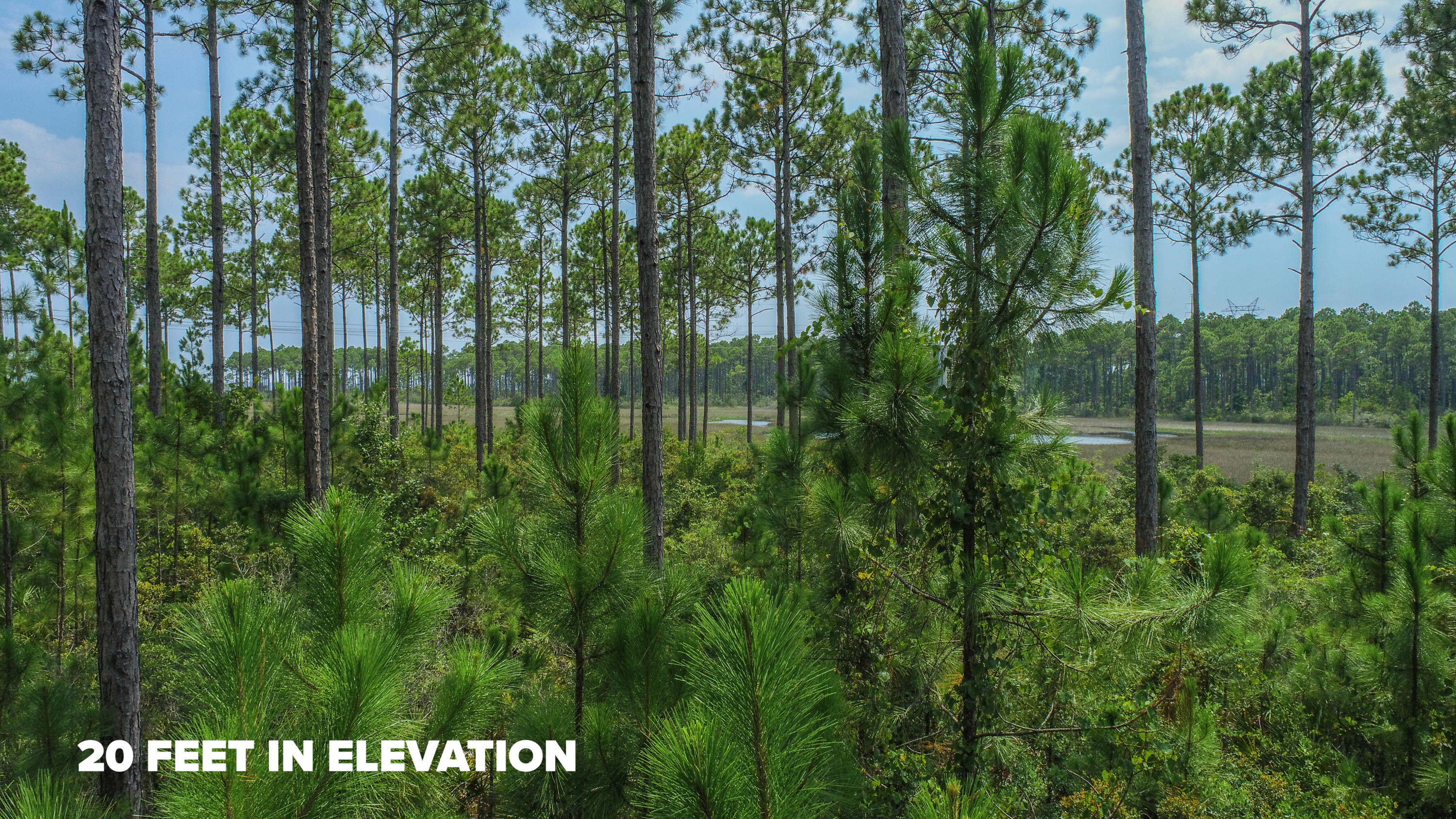 RIVERCAMPS ON CROOKED CREEK - Land