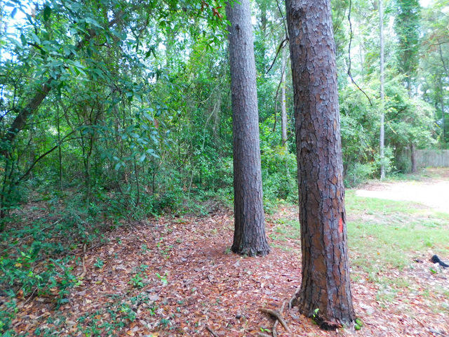 BLUEWATER BAY VILLAGE 1B - Residential