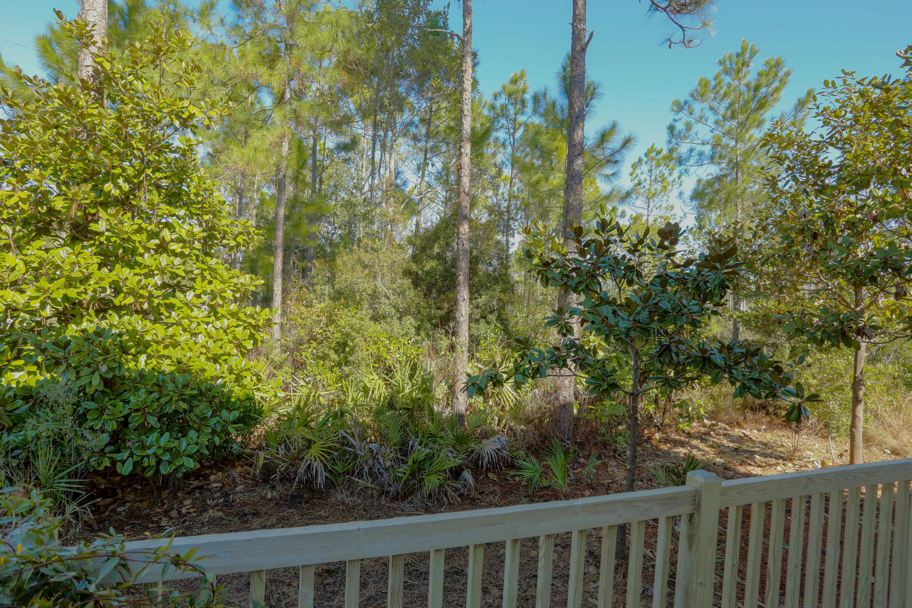 Thompson Woods - Residential