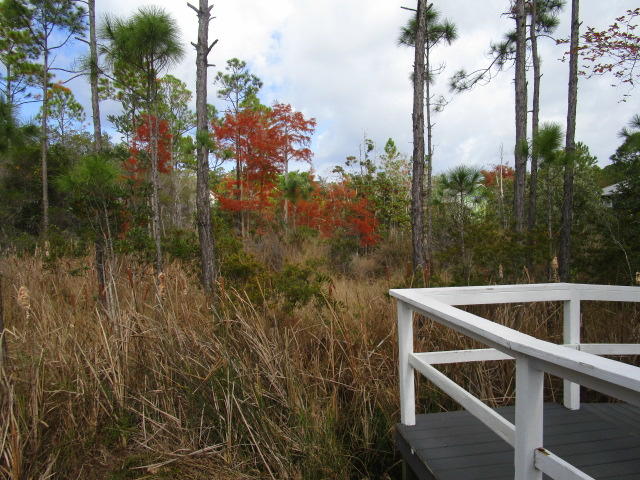 MCKENNIE'S UNRECD S/D - Land
