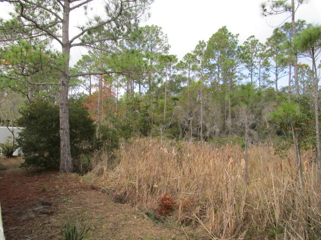 MCKENNIE'S UNRECD S/D - Land