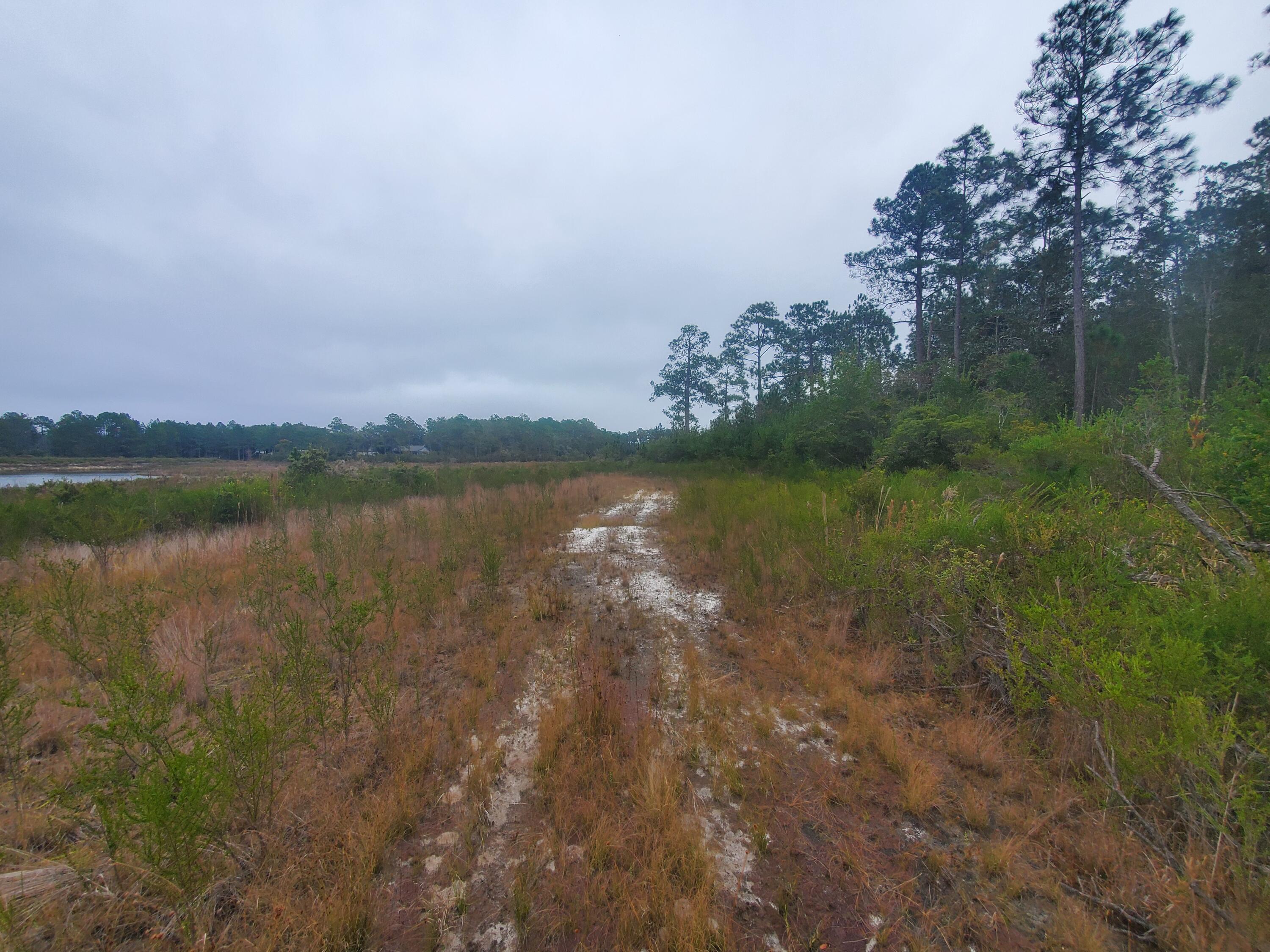 LAKE ROSEMARY SOUTH - Land